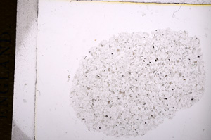 Plane Polarized, E14071