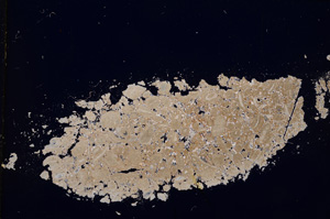 Cross Polarized, E14105