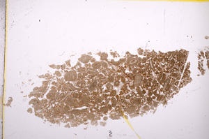 Plane Polarized, E14105