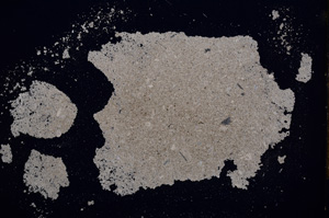 Cross Polarized, E14192