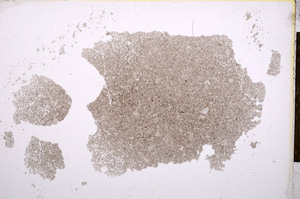 Plane Polarized, E14192