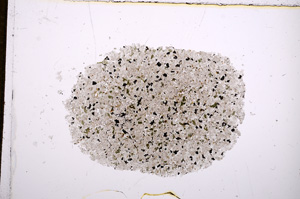 Plane Polarized, E14196