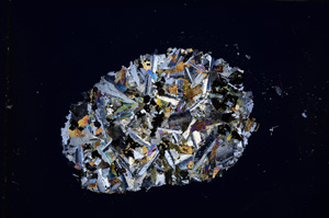 Cross Polarized, E14198