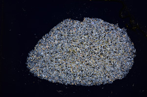 Cross Polarized, E14199