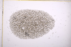 Plane Polarized, E14202