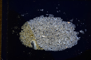 Cross Polarized, E14205