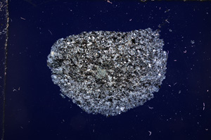 Cross Polarized, E14209