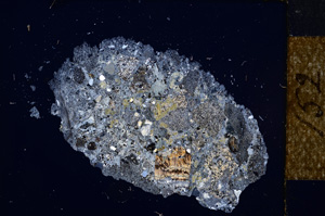 Cross Polarized, E14210