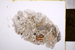 Plane Polarized, E14210