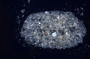 Cross Polarized, E14213