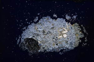 Cross Polarized, E14214