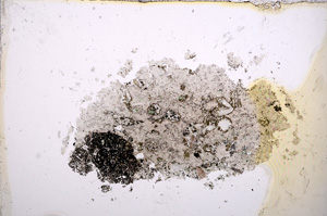 Plane Polarized, E14214