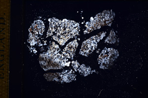 Cross Polarized, E14257