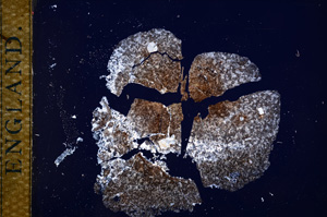 Cross Polarized, E14259