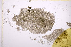 Plane Polarized, E14268