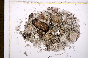 Plane Polarized, E14318