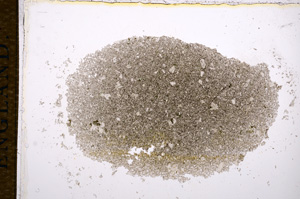 Plane Polarized, E14320