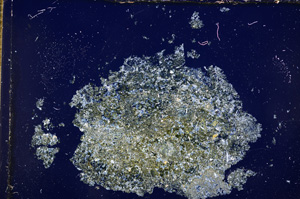 Cross Polarized, E14321