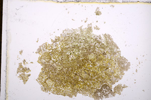 Plane Polarized, E14321