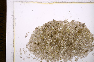 Plane Polarized, E14322