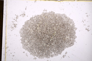 Plane Polarized, E14325