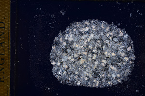 Cross Polarized, E14327