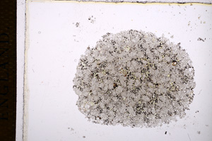 Plane Polarized, E14327