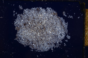 Cross Polarized, E14328