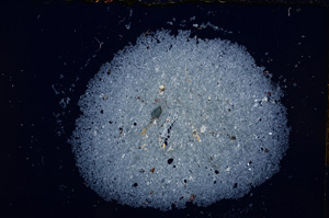 Cross Polarized, E14330