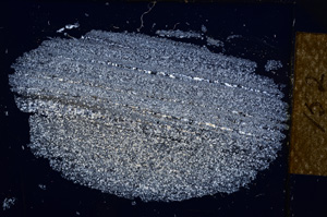 Cross Polarized, E14344