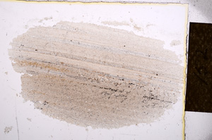 Plane Polarized, E14344