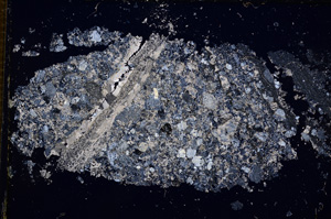 Cross Polarized, E14345