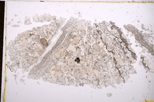 Plane Polarized, E14345