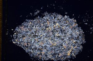 Cross Polarized, E14346