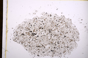 Plane Polarized, E14346