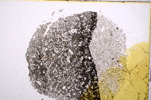 Plane Polarized, E14350