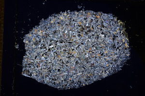 Cross Polarized, E14351