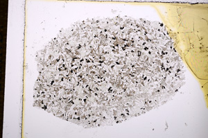 Plane Polarized, E14351