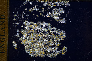 Cross Polarized, E14352