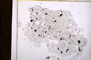 Plane Polarized, E14353