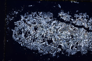 Cross Polarized, E14354