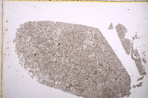 Plane Polarized, E14361
