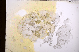 Plane Polarized, E14375