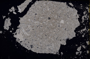 Cross Polarized, E14378