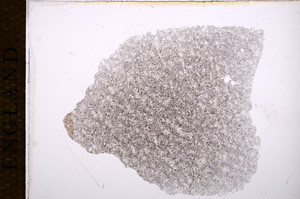 Plane Polarized, E14382