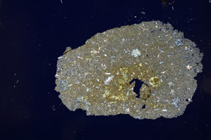 Cross Polarized, E14384