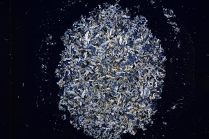 Cross Polarized, E14387