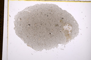 Plane Polarized, E14388