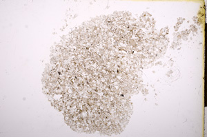 Plane Polarized, E14394