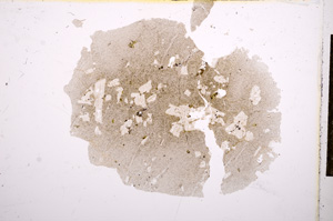 Plane Polarized, E14396